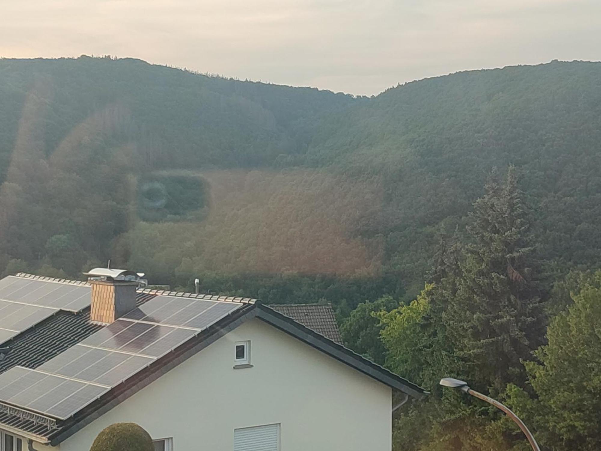 شقة Kermeterblick شليدن الغرفة الصورة